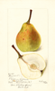 Pears, Stuyvesant (1898)