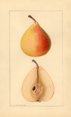 Pears, Michigan U.s. 504 (1936)