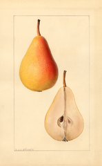 Pears, Michigan U.s. 550 (1936)