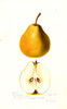 Pears, Conkleton (1897)