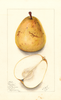 Pears, Coreless (1911)