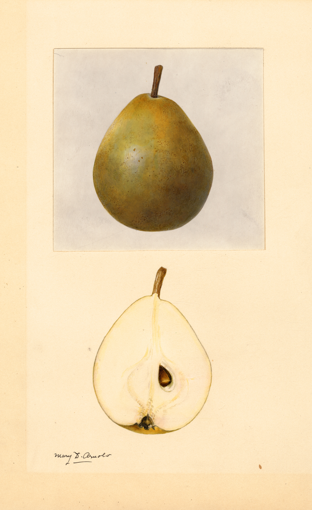 Pears, Dana Hovey (1932)