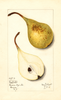 Pears, Desportes (1913)