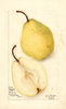 Pears, Douglas (1908)