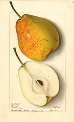 Pears, Douglas (1912)
