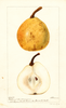 Pears, Duhamel Du Monceau (1896)