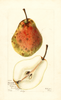 Pears, Epworth (1903)