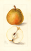 Pears, Idaho (1911)