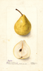 Pears, Karr (1899)