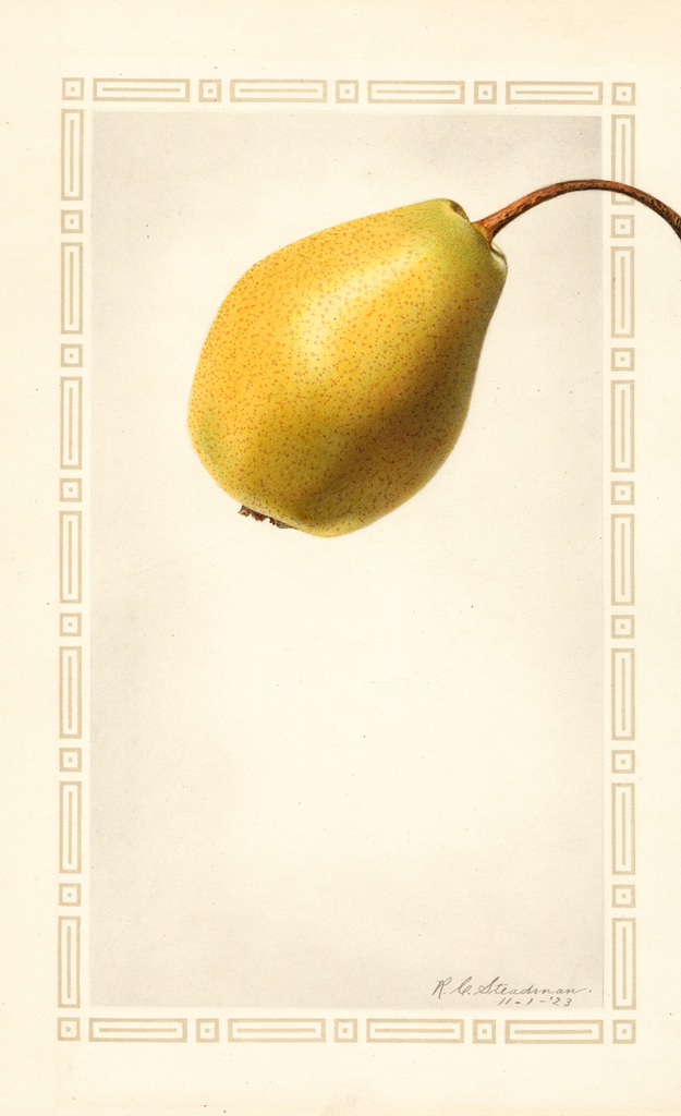 Pears, Patten (1923)