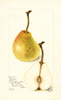 Pears, Pioneer (1898)