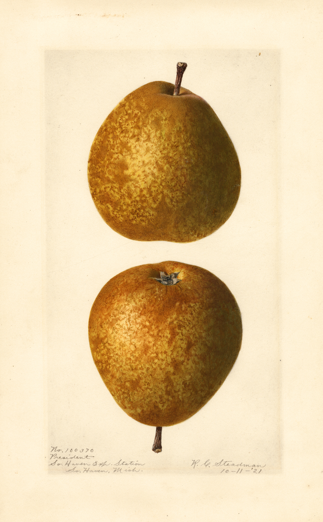 Pears, President (1921)