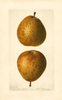 Pears, President (1921)