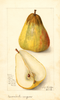 Pears, Souvenir Du Congress (1909)