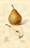 Pears, Reeder (1917)