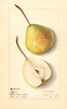Pears, Tyson (1912)