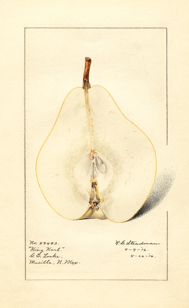 Pears, King Karl (1916)