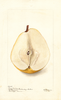 Pears, Konig Karl Von Wurttemberg (1900)