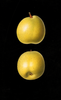 Pears (1918)