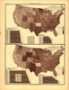 Mortality (Deaths under One Year, Five Years)